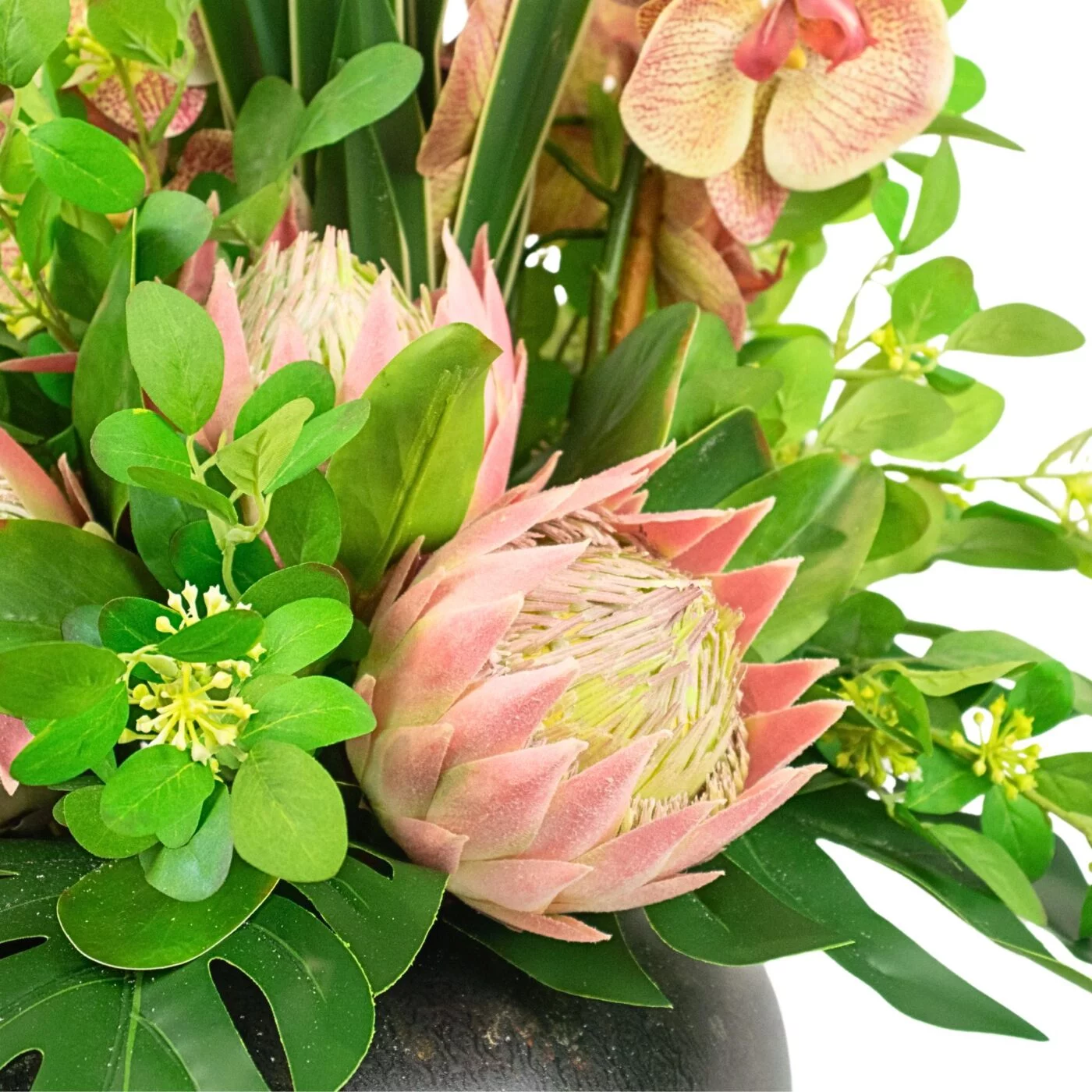 PROTEA WITH SANSEVIERIA AND FOLIAGE IN TIN