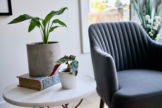 Black chair with potted plants on side table 