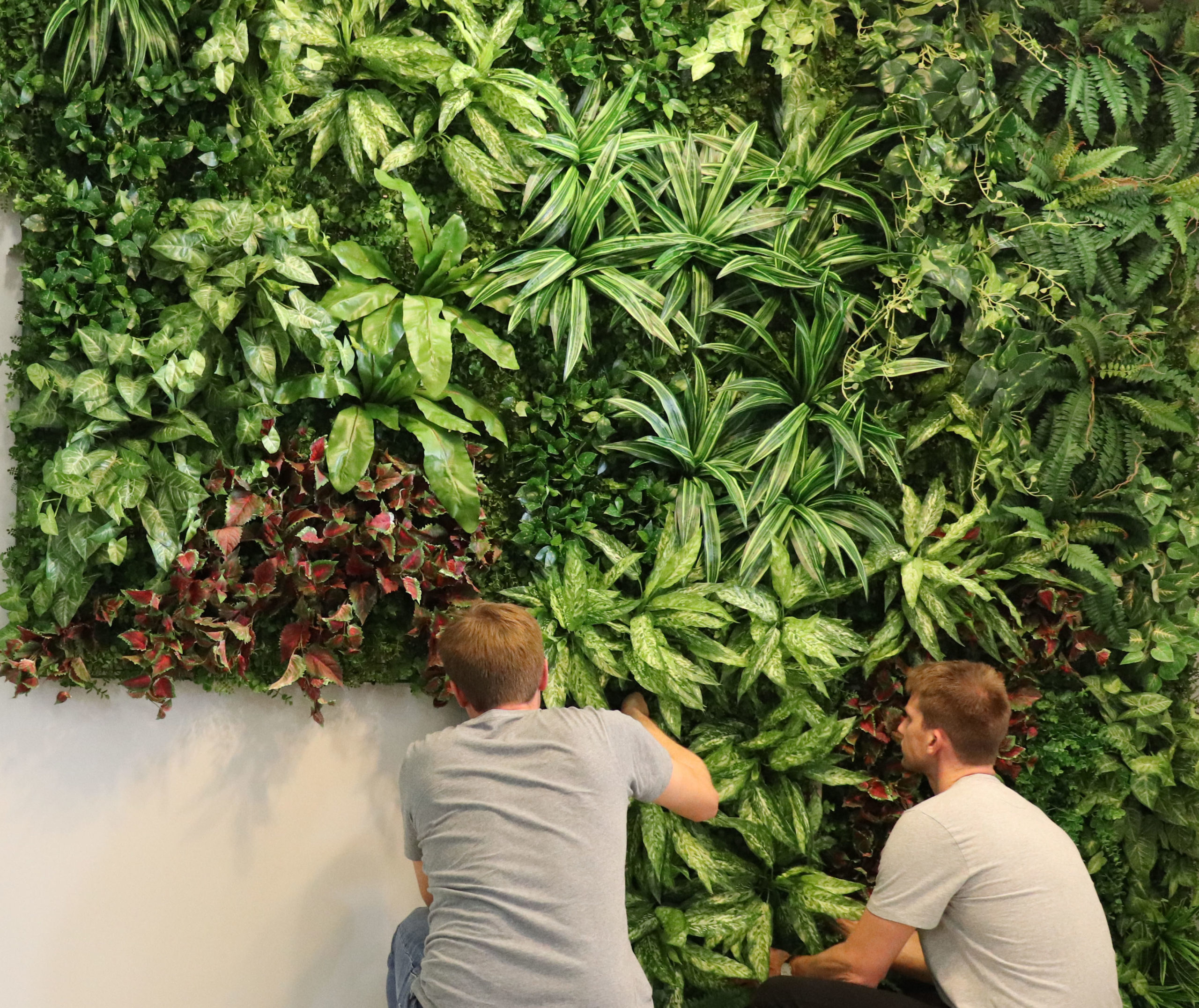 green wall