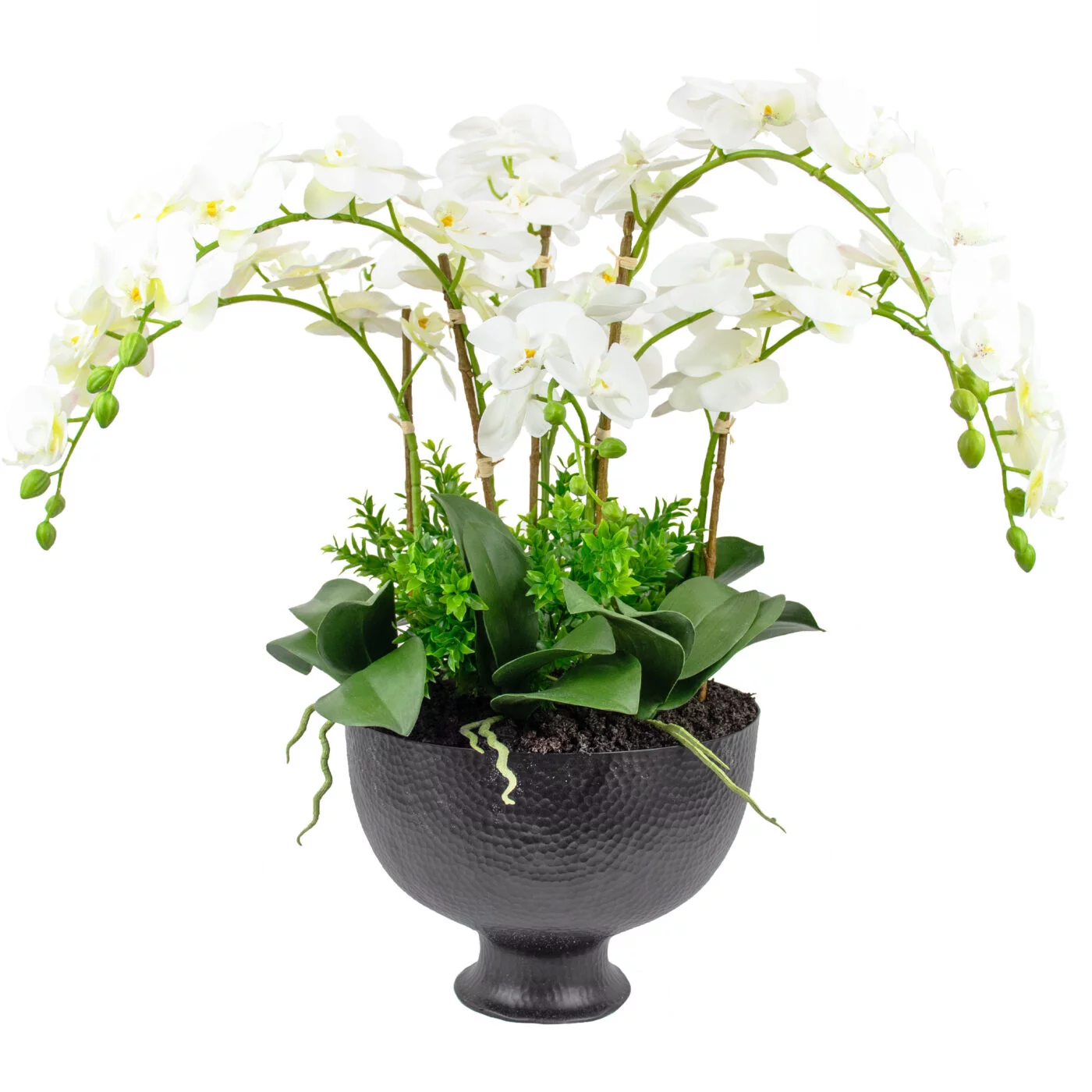 PHALENOPSIS ORCHIDS LARGE WHITE IN METAL PLANTER