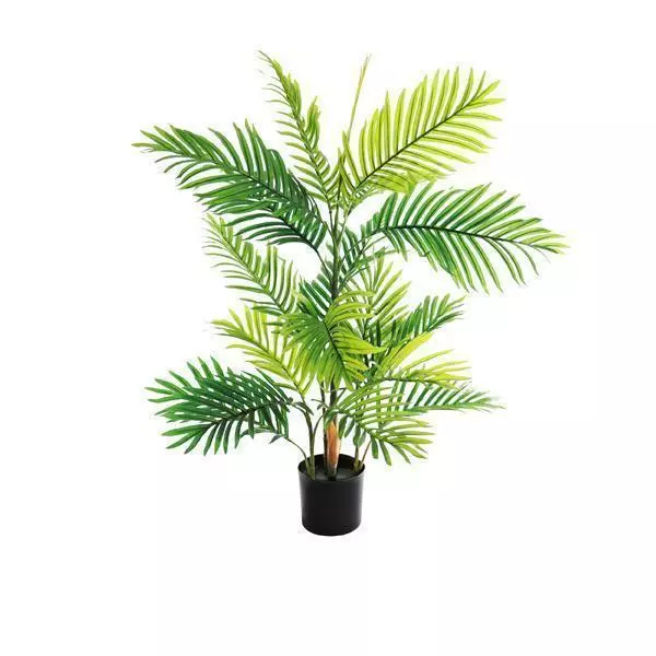 Areca Palm Tree - Medium