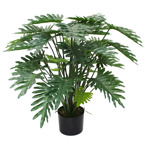 artificial 80cm Philodendron in black liner
